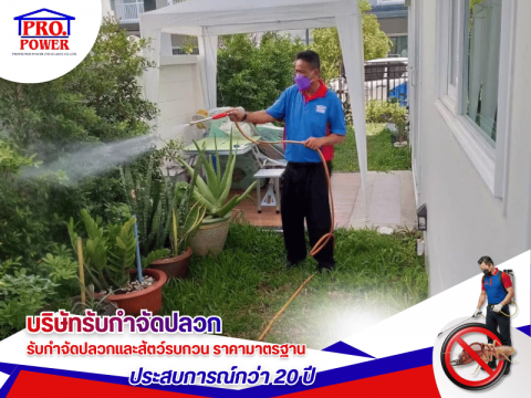 บริษัทฉีดพ่นอบละอองเคมี ULV กำจัดยุง แมลงวัน พัทยา